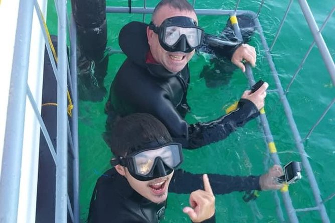 Shark Cage Diving - A 3.5-hour schedule built around the sea