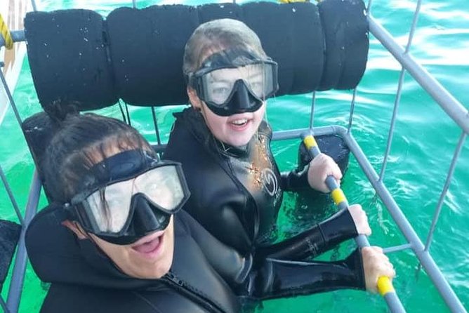 Shark Cage Diving - Is $118.40 a fair price?