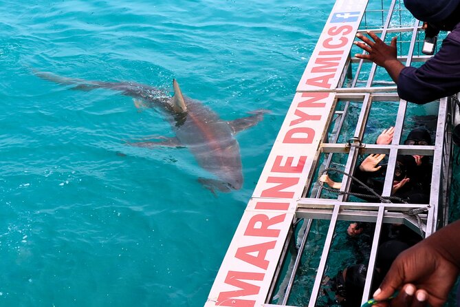 Shark Cage Diving and Viewing with transport from Cape Town - The long road from Cape Town to Gansbaai