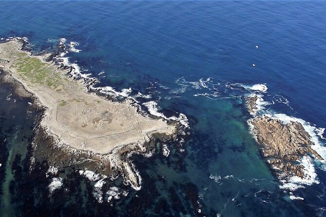 Shark Cage Diving and Viewing with transport from Cape Town - Is $251.05 a fair price?