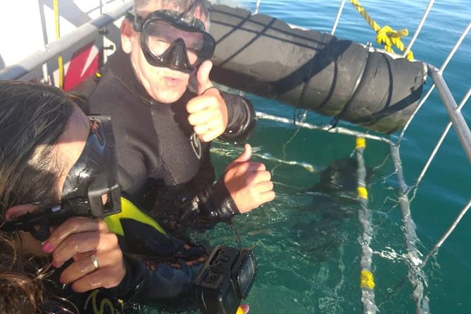 Shark Cage Diving - Choosing your place in the cage