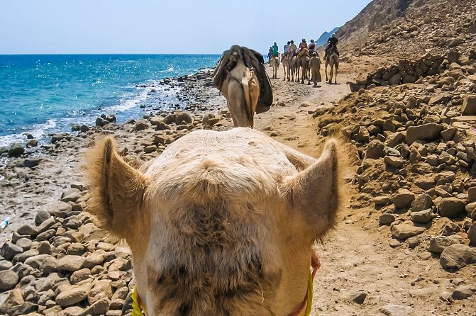 Sharm El Sheikh: Colored Canyon Jeep Tour with Blue Hole & Dahab - Blue Hole snorkeling and lunch by the Red Sea