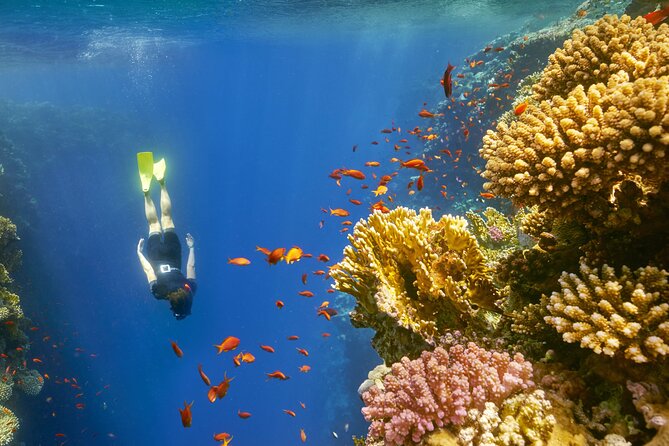 Sharm El Sheikh: Colored Canyon Jeep Tour with Blue Hole & Dahab - Guides, vehicles, and the feel of the day