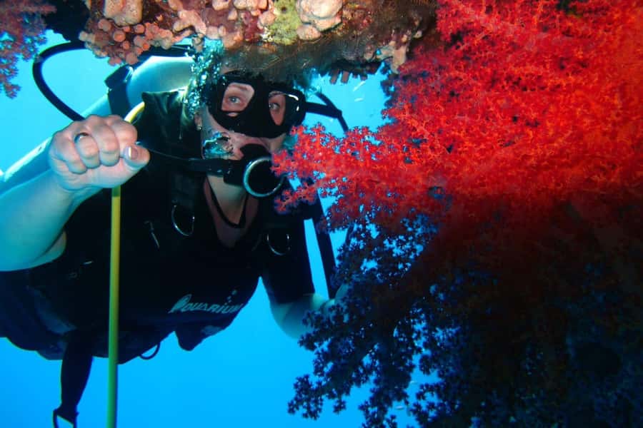 Sharm El Sheikh: Day sail to White island and Ras Mohamed - Timing, weather, and useful preparation