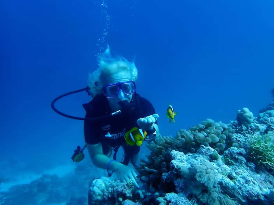 Sharm El Sheikh: Day sail to White island and Ras Mohamed - The first snorkeling stop, group pace, and safety