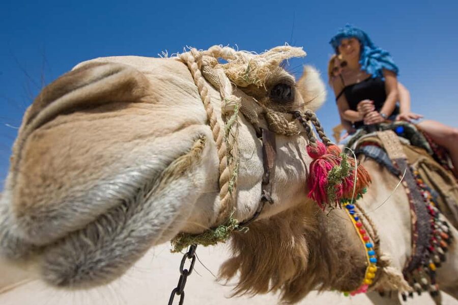 Sharm El-Sheikh: Morning Desert ATV Quad or Buggy Adventure - The ATV and buggy ride across South Sinai