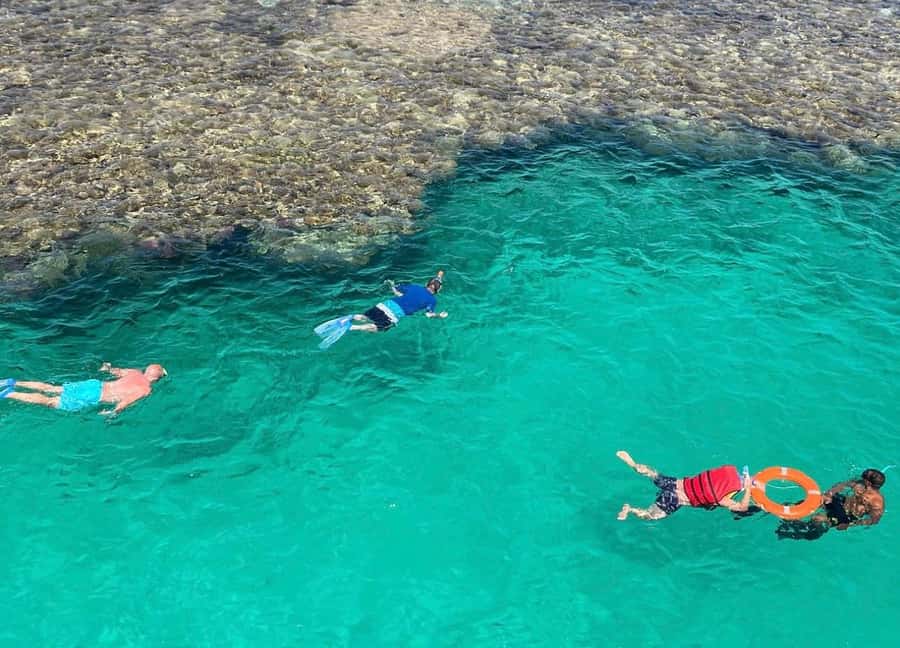 Sharm el-Sheikh: Premium Ras Mohammed & White Island Cruise - How much time should you allow?