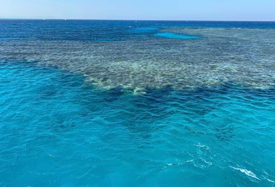 Sharm el-Sheikh: Premium Ras Mohammed & White Island Cruise - First snorkeling stop: coral, fish, and patient guides