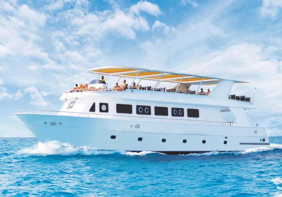 Sharm el-Sheikh: Premium Ras Mohammed & White Island Cruise - From your hotel to Watanya Marina