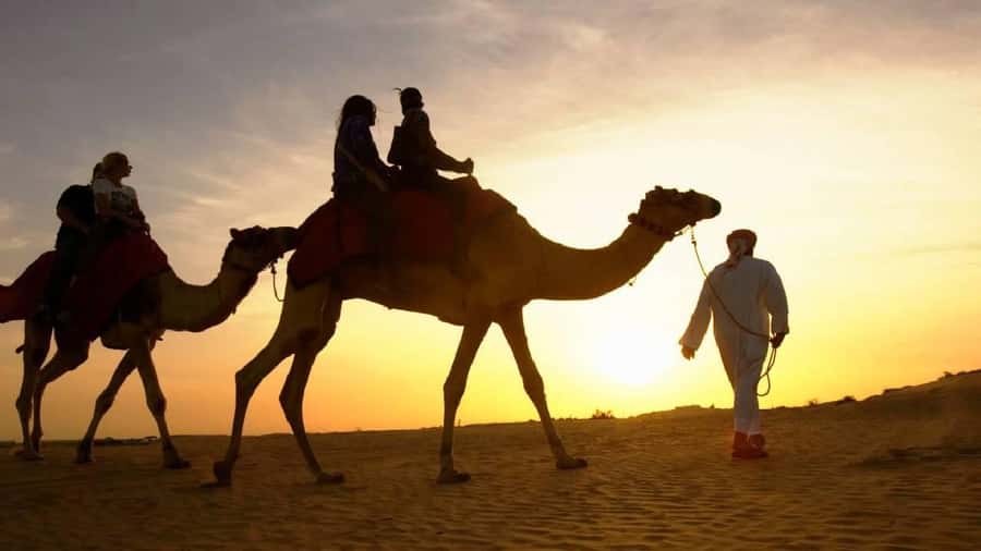 Sharm El Sheikh: Quad Biking, Camel Ride & Bedouin Dinner. - The desert ride is the heart of the outing