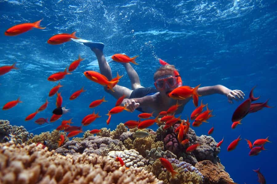 Sharm El Sheikh: Ras Mohamed Cruise with Snorkeling & Lunch - From Watanya Marina to the southern tip of Sinai