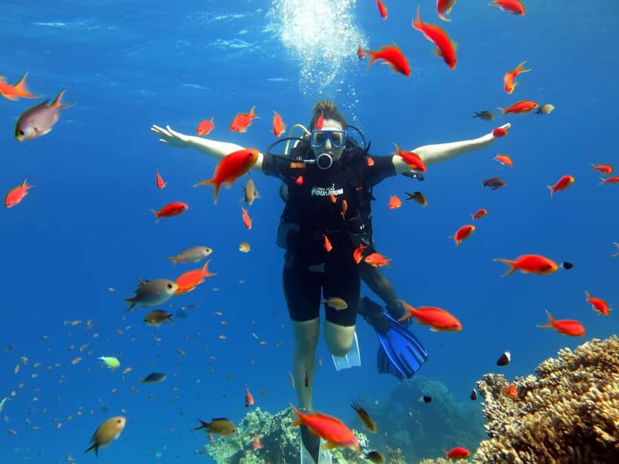Sharm El Sheikh: Ras Mohamed Cruise with Snorkeling & Lunch - Lunch onboard, with a useful break from the sea
