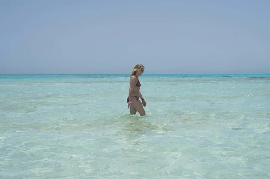 Sharm El Sheikh: Ras Mohamed Cruise with Snorkeling & Lunch - What the $31 price really covers