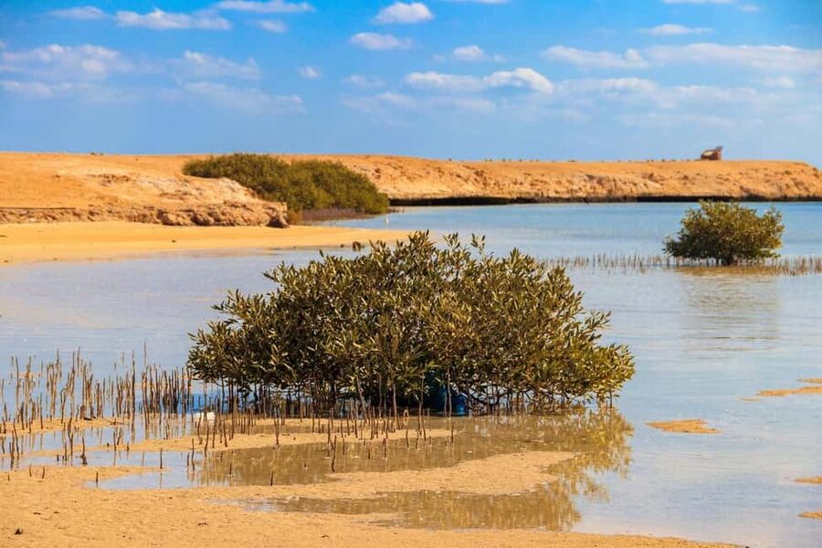 Sharm El-Sheikh: Ras Mohamed Half-Day Tour & Allah's Gate - A short ride from Sharm to Ras Mohamed