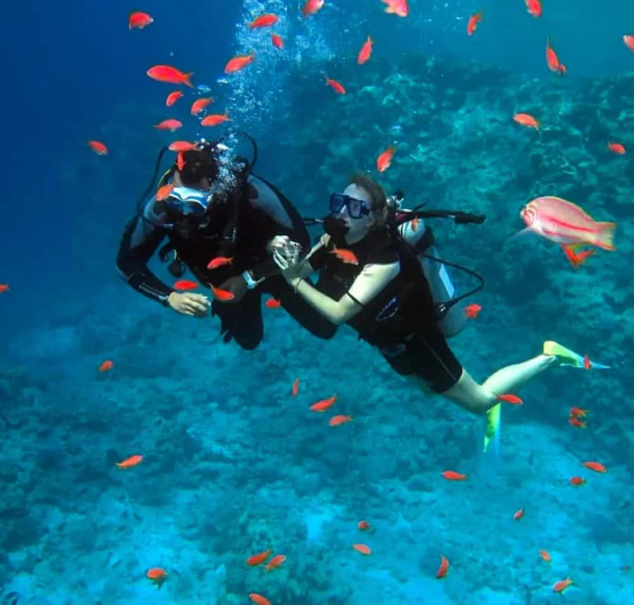 Sharm El Sheikh: Ras Mohamed & White Island Dive & Snorkel - The short beginner scuba session