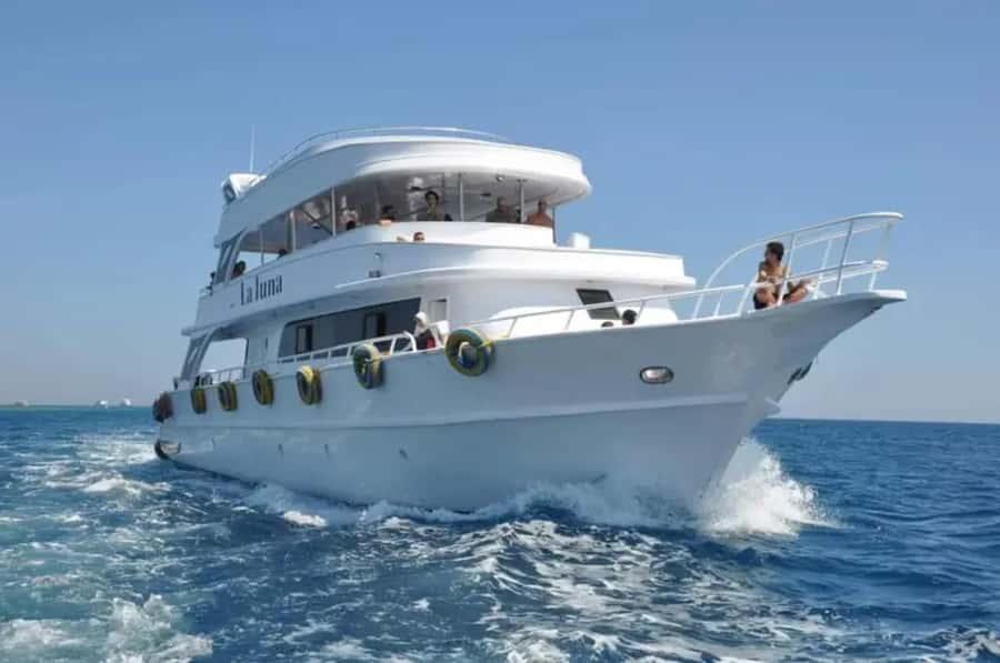 Sharm El Sheikh: Ras Mohamed & White Island Dive & Snorkel - Lunch, drinks, and time to relax