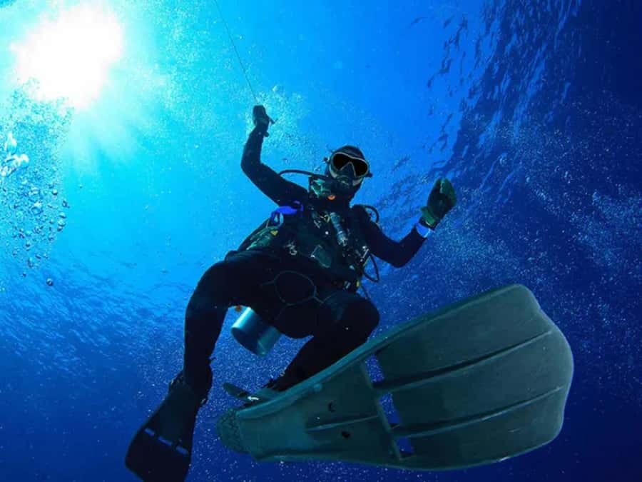 Sharm El Sheikh: Ras Mohamed & White Island Dive & Snorkel - Who will enjoy this boat trip most?