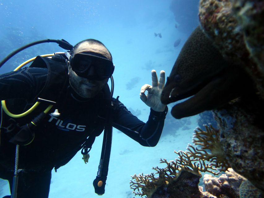 Sharm El Sheikh: Ras Mohamed & White Island Snorkel or Dive - Lunch on the boat, with practical comforts