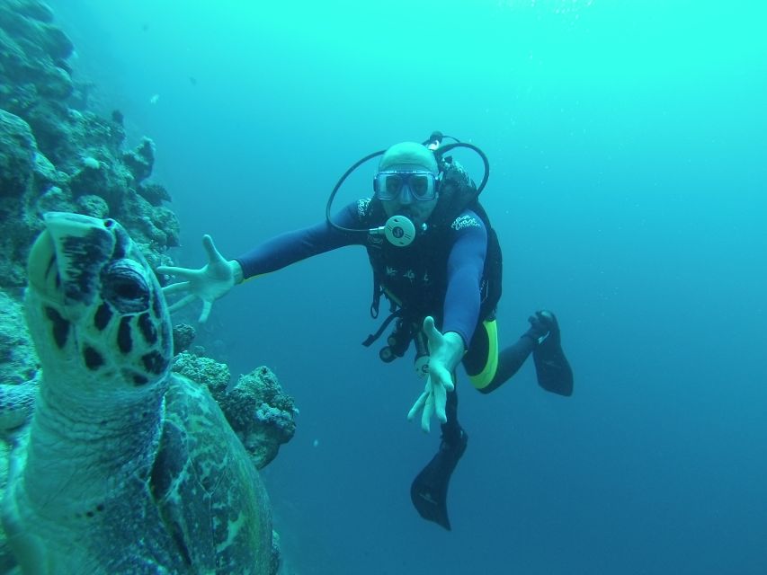 Sharm El Sheikh: Ras Mohamed & White Island Snorkel or Dive - What the first water session is like