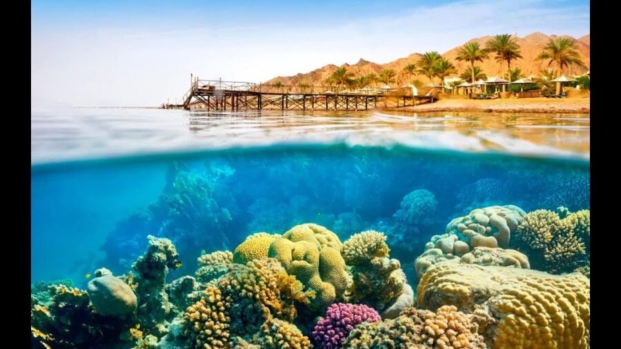 Sharm El-Sheikh: Ras Mohamed & White Island Snorkeling Trip - Who will enjoy this trip most?