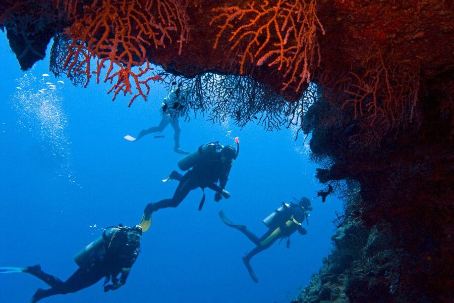 Sharm El-Sheikh: Ras Mohamed & White Island Snorkeling Trip - The two reef stops near Ras Mohammed