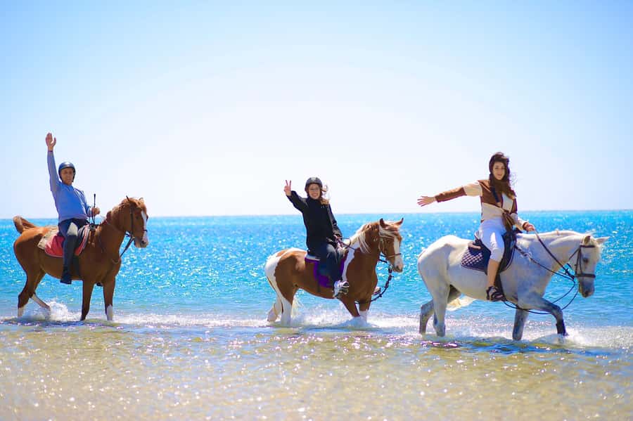 Sharm El Shiekh: Beach and City Desert Horse Riding Tour - Riding from the Edelweiss stables into the open desert