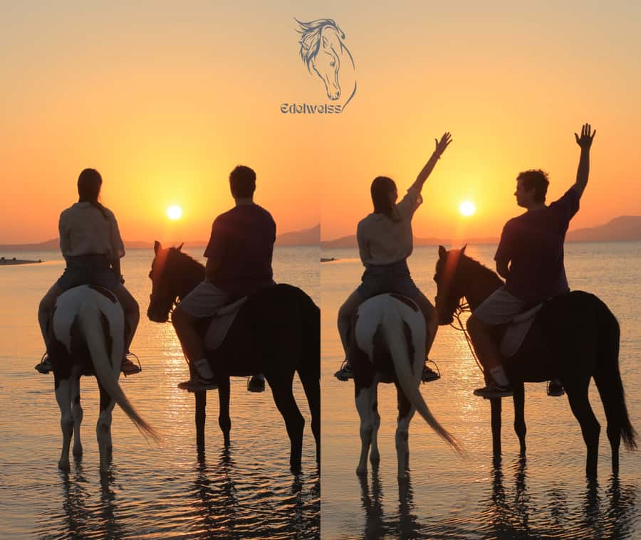 Sharm El Shiekh: Beach and City Desert Horse Riding Tour - Reaching the Red Sea beach on horseback