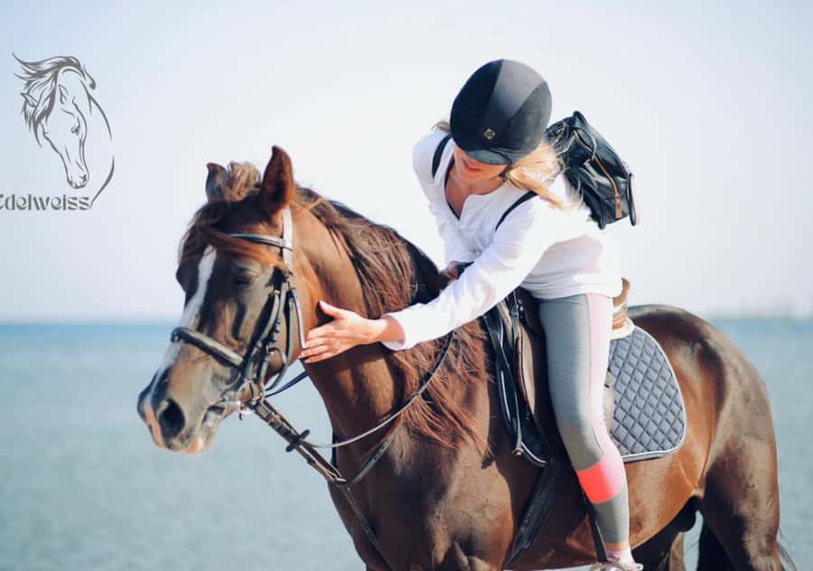 Sharm El Shiekh: Beach and City Desert Horse Riding Tour - Sunrise, morning, or sunset: choosing the right departure