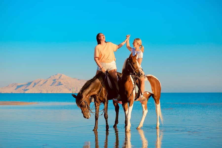 Sharm El Shiekh: Beach and City Desert Horse Riding Tour - Hotel transport and the small-group setup