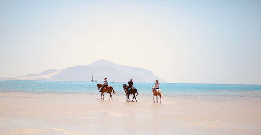 Sharm El Shiekh: Beach and City Desert Horse Riding Tour - What to wear and what to leave behind