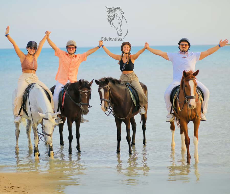 Sharm El Shiekh: Beach and City Desert Horse Riding Tour - What the horses and guides add to the experience