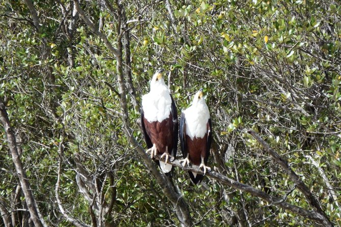 Shoreline Hippo and Crocodile Boat Cruises, iSimangaliso Wetland Park - Starting at the Siyabonga Tourism Centre