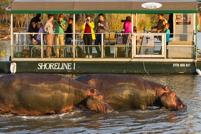 Shoreline Hippo and Crocodile Boat Cruises, iSimangaliso Wetland Park - The two-hour cruise along the Saint Lucia Estuary