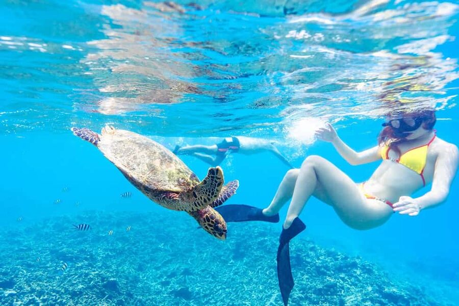Sister, Coco, and Felicite Island: Seychelles Catamaran Tour - BBQ lunch, drinks and life onboard