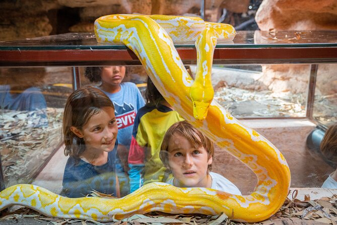 Skip the Line Ticket to Crocoparc with Optional Transfert - The Tropical Garden and the Bellombra