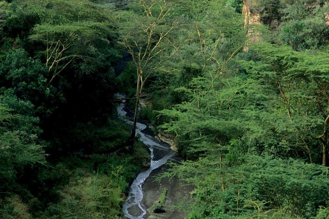 Small Group Budget Tour to Hells Gate National Park and Lake Naivasha Boat Ride - What the Guides Add to the Day