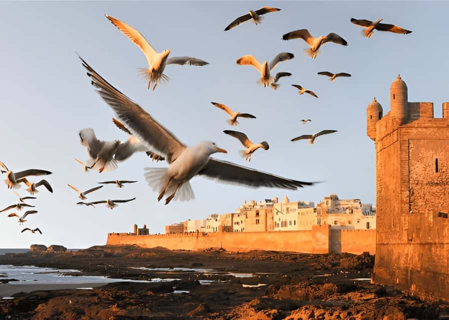 Small-Group Day Trip from Marrakech to Essaouira Mogador - Why Essaouira makes a good change from Marrakech
