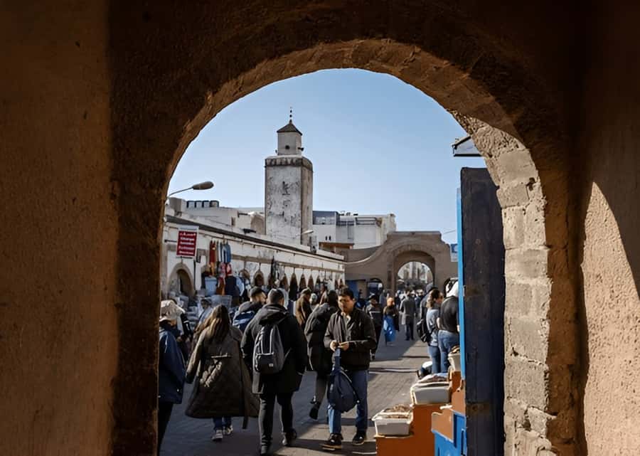 Small-Group Day Trip from Marrakech to Essaouira Mogador - Who should book this day trip?