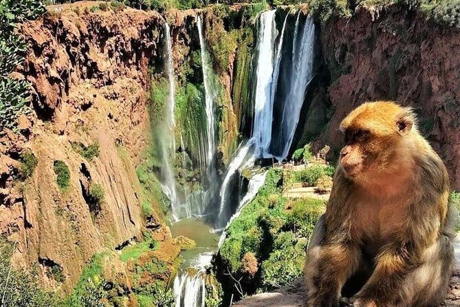 Small group Ouzoud Waterfall Guided Tour Boat Ride from Marrakech - The boat ride under the falls