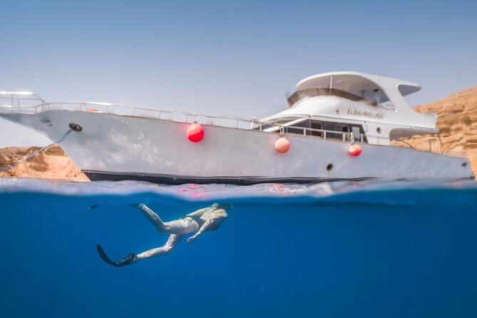 Snorkeling Day Trip to White Island and Ras Mohamed from Sharm - Who will get the most from this $35 trip?