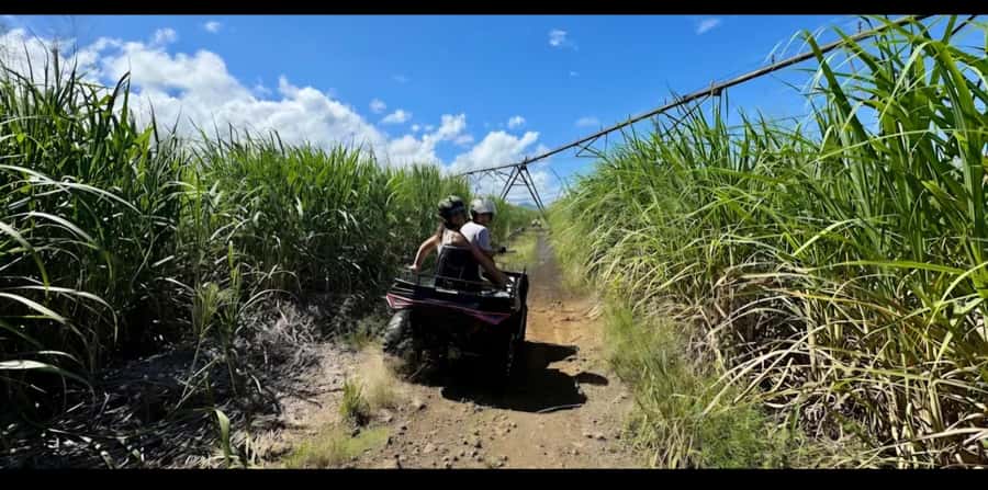 South of Mauritius: Quad Bike Tour - Pointe Vacoas and the coastal paths