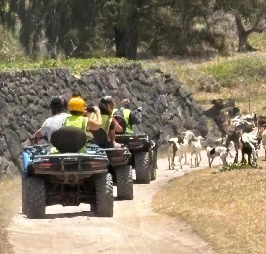 South of Mauritius: Quad Bike Tour - La Cambuse beach and the swim stop
