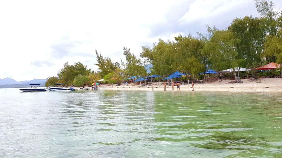 Speedboat to Ile aux Benitier: Dolphin Encounter & Lunch - Snorkeling in the open ocean