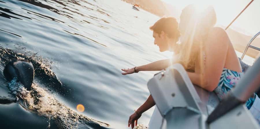 Speedboat to Ile aux Benitier: Dolphin Encounter & Lunch - Final booking advice