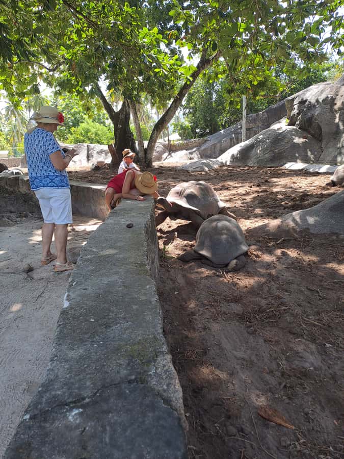 St. Anne Marine Park, Moyenne & Cerf Island Tour with Lunch - Guides, group feel, and practical comfort