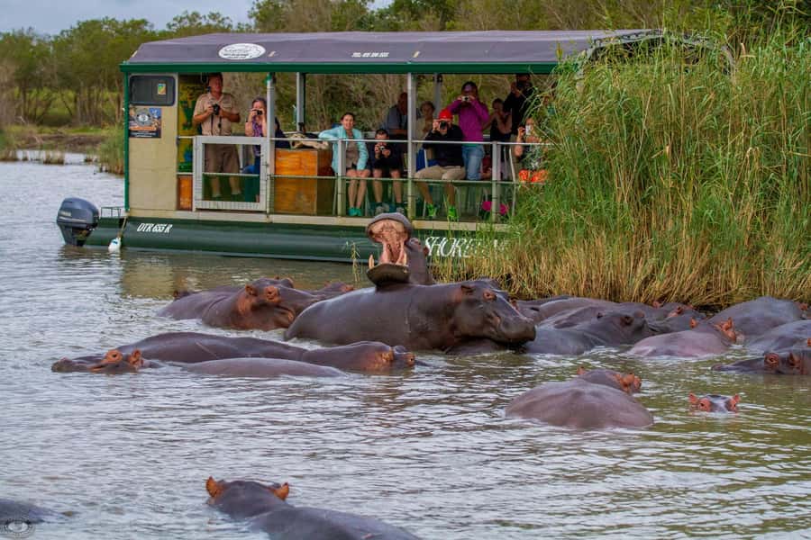 St Lucia: Hippo and Crocodile Cruise on a 15-Seat Vessel - The first stretch: reading the estuary