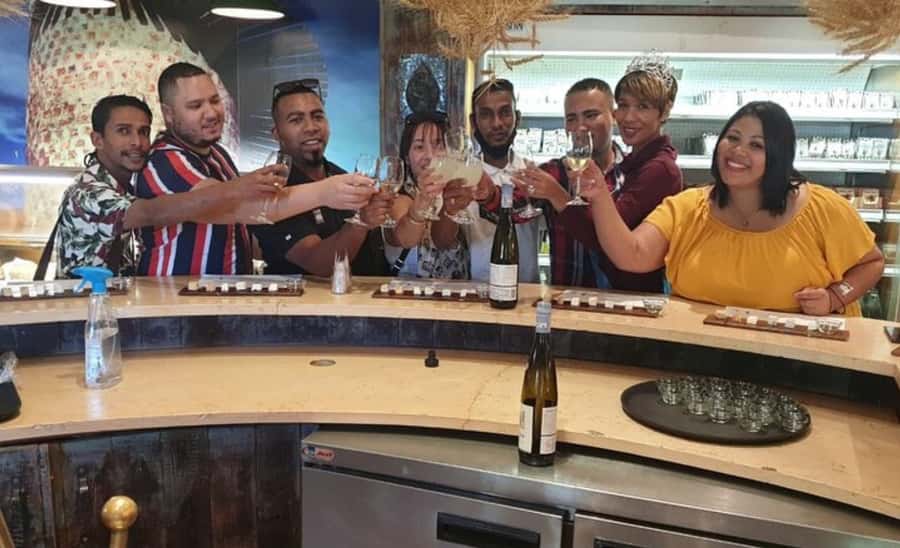 Stellenbosch: Half-Day Wine Tour - Should you book it?