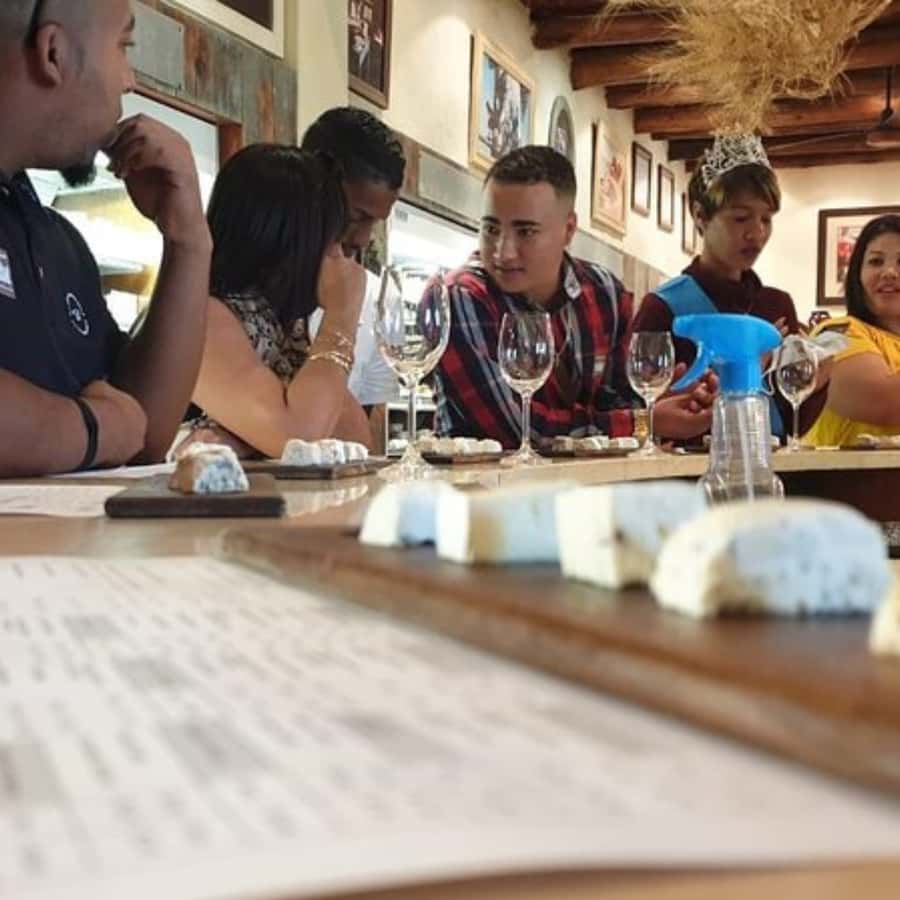 Stellenbosch: Half-Day Wine Tour - Why this half-day wine tour works from Cape Town