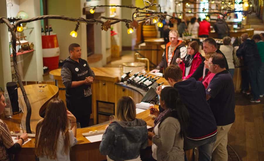 Stellenbosch: Half-Day Wine Tour - First vineyard: six wines, cheese, and a cellar visit