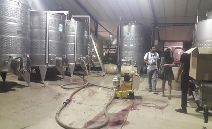 Stellenbosch: Half-Day Wine Tour - The guide can shape the whole day